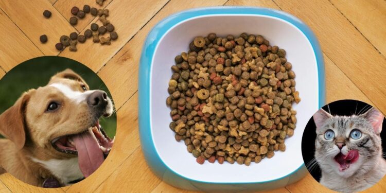 ¿Qué croquetas evitar en 2025? Profeco revela las peores marcas para perros y gatos