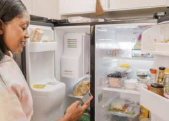 ¿Cuál es el mejor refrigerador según tus necesidades?