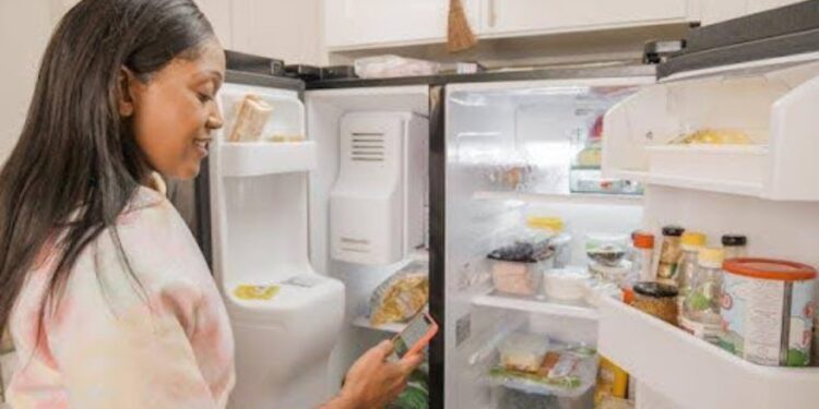 ¿Cuál es el mejor refrigerador según tus necesidades?
