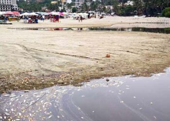 Puerto Escondido fuera del plan de Sheinbaum de Limpieza de Playas y Costas