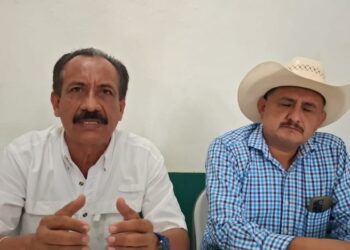 Tala ilegal e invasión de predios en Salchi, Pochutla