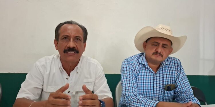 Tala ilegal e invasión de predios en Salchi, Pochutla