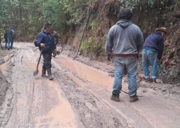 Con tequio: comunidades de Textitlán rehabilitan camino