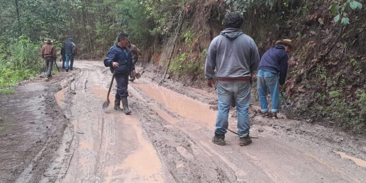 Con tequio: comunidades de Textitlán rehabilitan camino