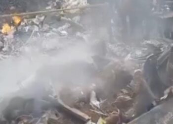 Mueren tres tras caer avioneta que combatía gusano barrenador