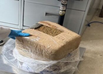 Incineran 496 kg de drogas y objetos asegurados en Oaxaca