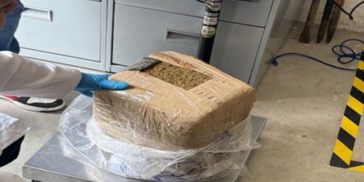 Incineran 496 kg de drogas y objetos asegurados en Oaxaca
