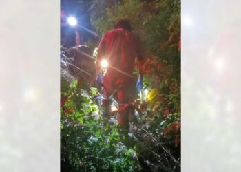 El accidente se suscitó en la carretera Huajuapan-Tehuacán.
