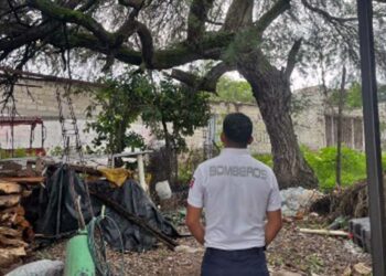 El hecho sucedió en la calle Emiliano Zapata esquina con 5 de mayo de la agencia de Santa María Xochixtlapilco.