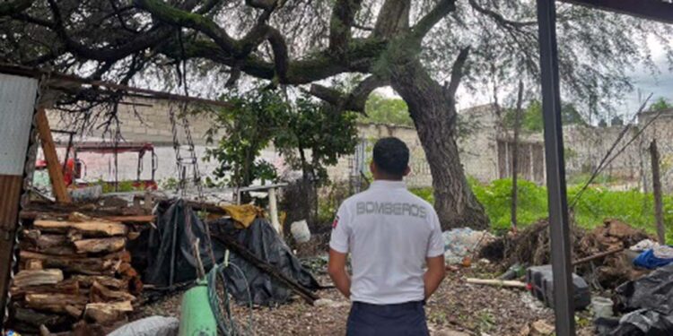 El hecho sucedió en la calle Emiliano Zapata esquina con 5 de mayo de la agencia de Santa María Xochixtlapilco.