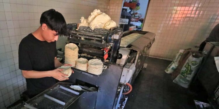 Foto: Archivo El Imparcial // Buscan estabilizar el precio de la tortilla.