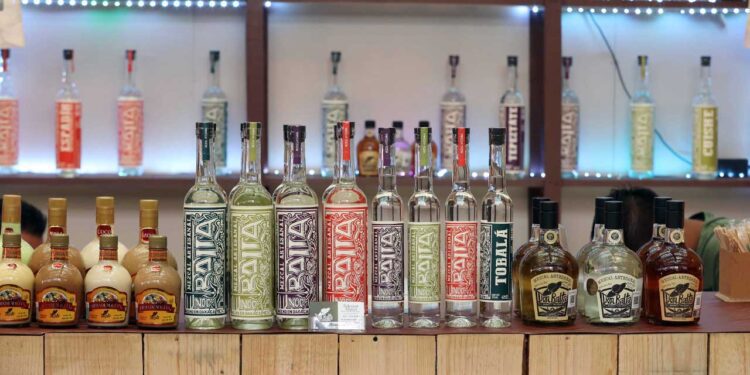 Foto: archivo // El sector mezcalero de la entidad oaxaqueña lamentó las ampliaciones de la Denominación de Origen.