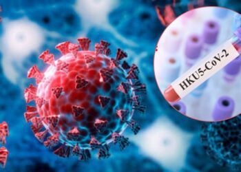 HKU5-CoV-2: El nuevo coronavirus que alarma a la comunidad científica, ¿Deberíamos preocuparnos?