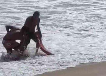 Reporta Protección Civil persona ahogada en Playa Bacocho