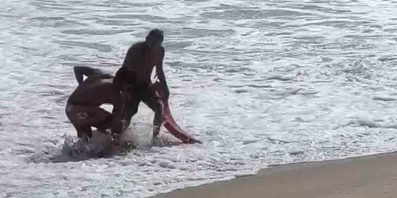 Reporta Protección Civil persona ahogada en Playa Bacocho. Noticias en tiempo real