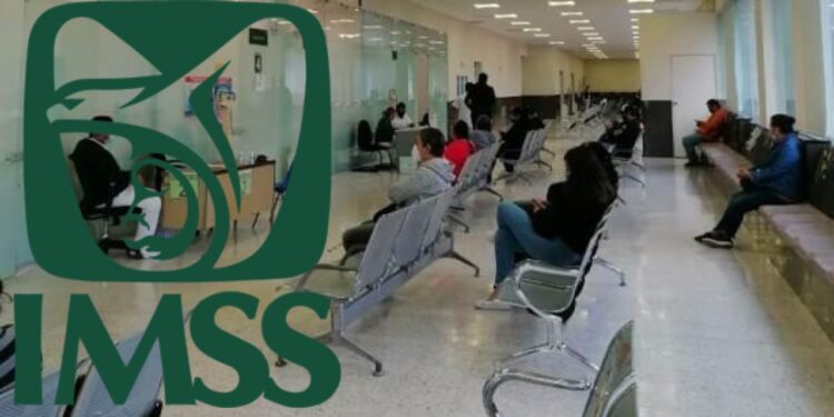 ¿Sabías que puedes afiliarte al IMSS sin estar contratado?