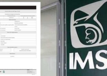 ¿Cómo tramitar tu constancia de vigencia de derechos del IMSS en 2025?