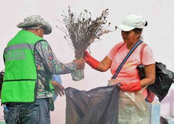 La gente participa en estas acciones para combatir el dengue, ya que buscan prevenir y evitar esta enfermedad.