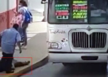 La unidad fue asegurada por la Policía Vial Estatal, pero el conductor responsable continúa prófugo.