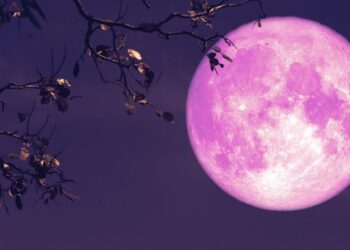 ¿Cuándo será visible la Luna de Fresa en junio de 2025?