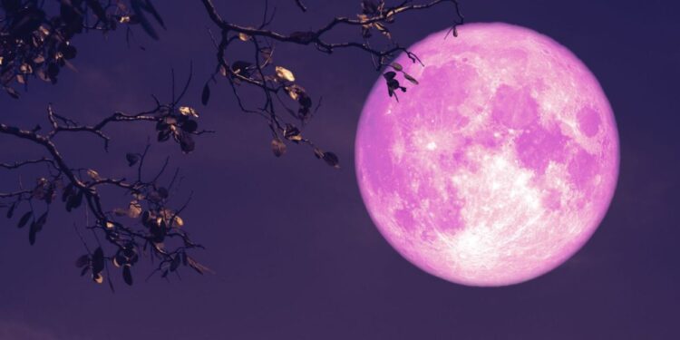¿Cuándo será visible la Luna de Fresa en junio de 2025?