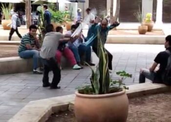 VIDEO Trifulca entre indigentes en el Zócalo revela abandono social tras operativo en Oaxaca