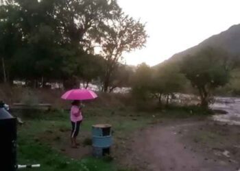 Reportan pérdidas de ganado por crecimiento del Río Mixteco.