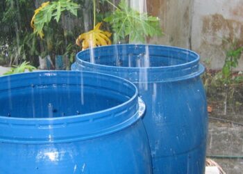 ¿Guardaste agua de lluvia? Así puedes usarla para ahorrar en casa y cuidar el planeta