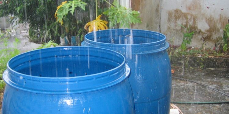 ¿Guardaste agua de lluvia? Así puedes usarla para ahorrar en casa y cuidar el planeta
