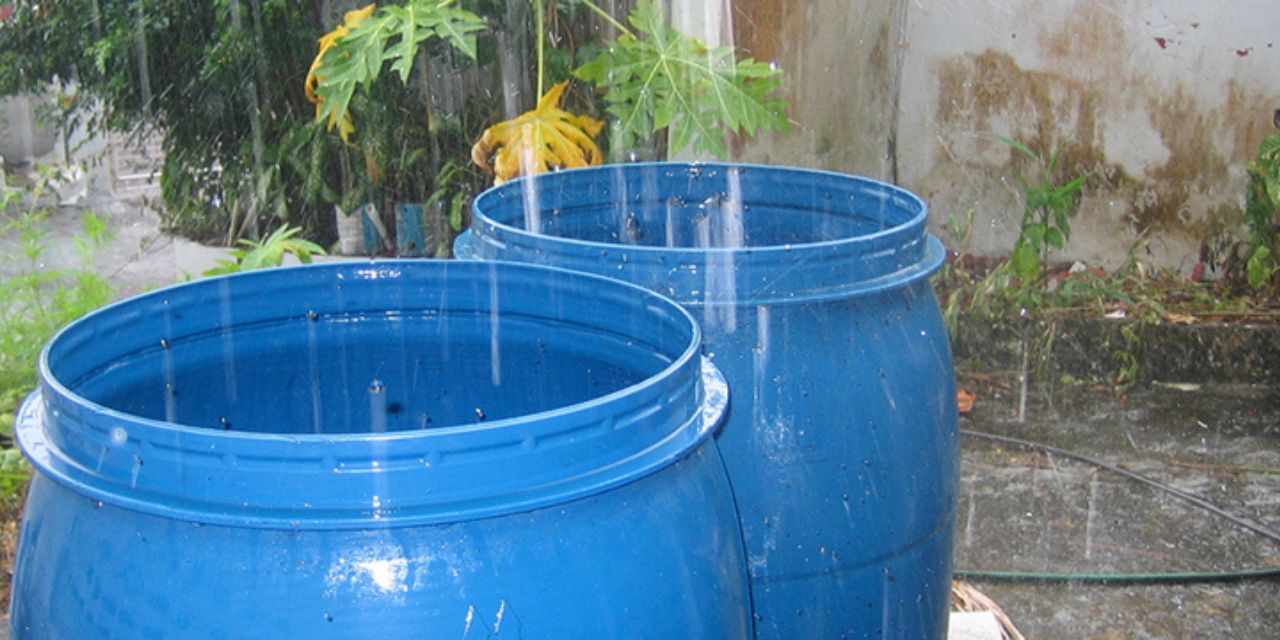 ¿Guardaste agua de lluvia? Así puedes usarla para ahorrar en casa y cuidar el planeta. Noticias en tiempo real
