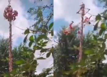 VIDEO: Voladores de Papantla caen durante su ritual en Tihuatlán