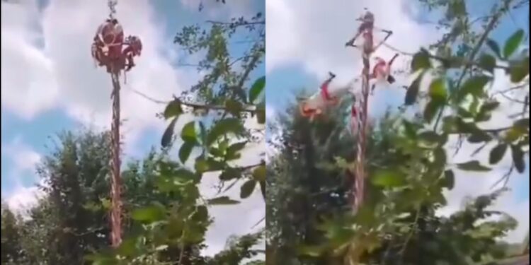 VIDEO: Voladores de Papantla caen durante su ritual en Tihuatlán