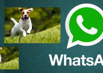 WhatsApp permitirá elegir la calidad de descarga automática de fotos y videos