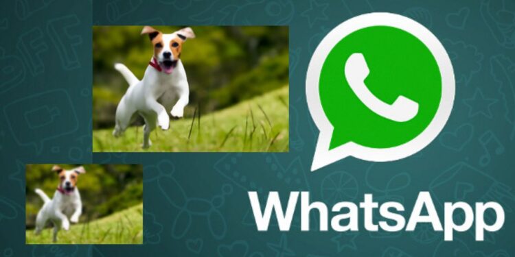 WhatsApp permitirá elegir la calidad de descarga automática de fotos y videos