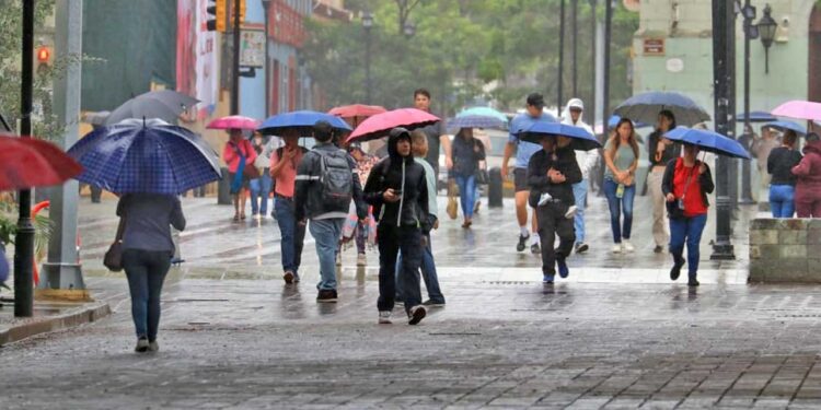 Foto: Adrián Gaytán // El aumento de casos de ambas enfermedades inició con la temporada de lluvia y los cambios bruscos de temperatura.