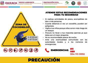 ¡Cuidado cocodrilo! Emiten recomendaciones por el paso del huracán Erick