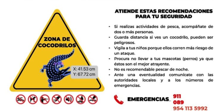 ¡Cuidado cocodrilo! Emiten recomendaciones por el paso del huracán Erick