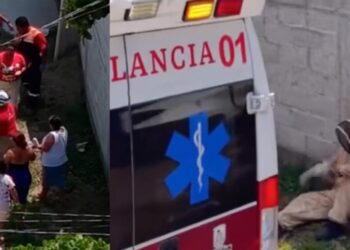 Enjambre de abejas ataca a más de 30 personas, cuatro en estado grave