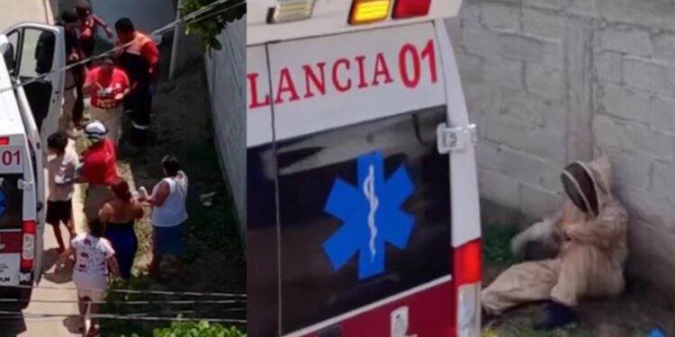 Enjambre de abejas ataca a más de 30 personas, cuatro en estado grave