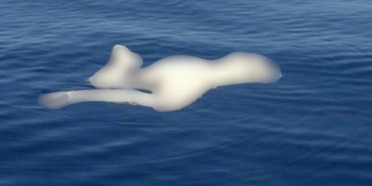 La playa que seduce… y cobra vidas: dos extranjeros mueren en Zicatela