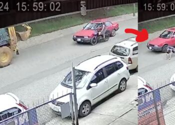 VIDEO ¿Qué pasa si atropellas y huyes? Un joven motociclista lesionado tras accidente en Oaxaca