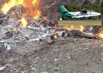¡Tragedia aérea en Tapachula! Tres muertos en accidente de avioneta que combatía el gusano barrenador