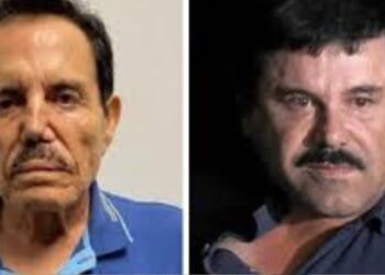 Sinaloa bajo fuego: más de mil 500 asesinatos marcan escalada de violencia entre “Chapitos” y “Mayiza”