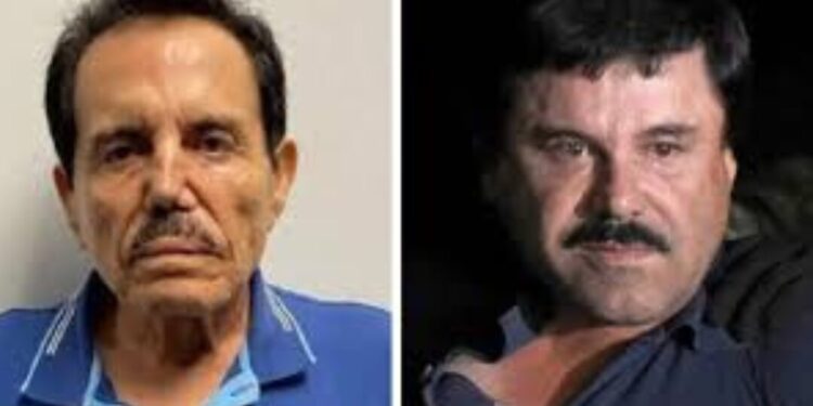 Sinaloa bajo fuego: más de mil 500 asesinatos marcan escalada de violencia entre “Chapitos” y “Mayiza”