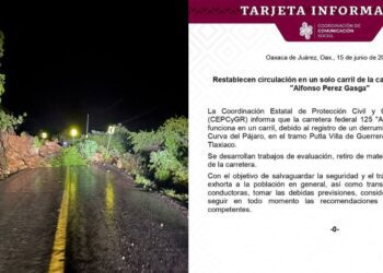 Derrumbe en la Curva del Pájaro restringe paso en la carretera federal 125: solo hay circulación en un carril