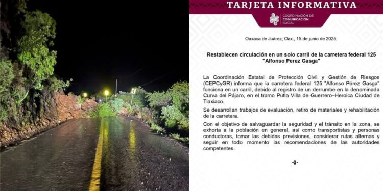 Derrumbe en la Curva del Pájaro restringe paso en la carretera federal 125: solo hay circulación en un carril
