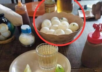 Lo cesan por exhibir consumo de huevos de tortuga