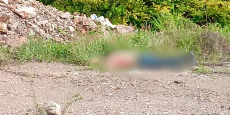 ¡Cadáver en la carretera! Misterio y silencio en el tramo La Ventosa–Matías Romero