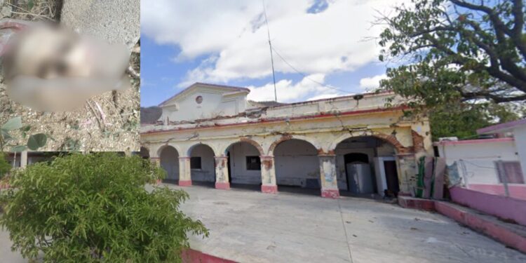 ¡Macabro hallazgo en Mixtequilla! Encuentran cráneo humano en zona habitacional