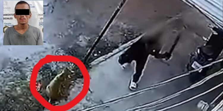 ¡Justicia para “Coqueto”! Detienen al presunto agresor que mató brutalmente a un perro en Tlaquepaque